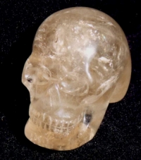 schedel